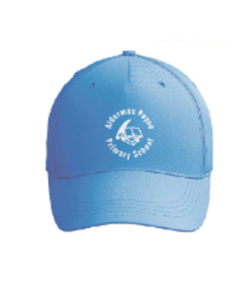 school uniform blue caps